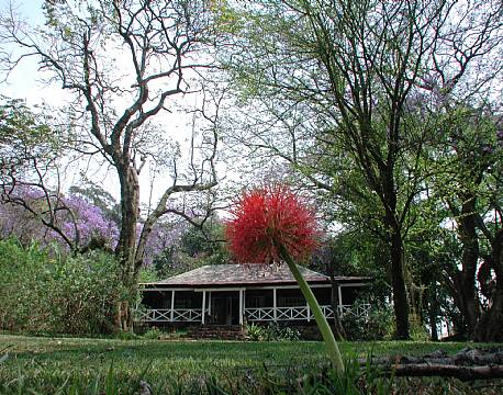 Reillys Hill Rock Swaziland 9 africa tours