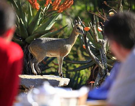 Reillys Hill Rock Swaziland 11 africa tours