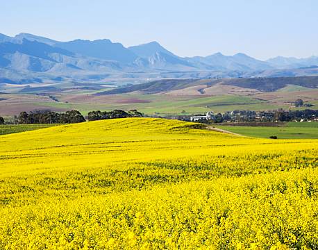 Garden Route sydafrika africa tours