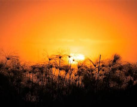 Pepere Island Lodge botswana 5 africa tours