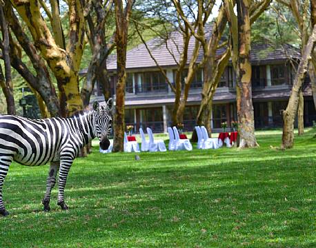Lake Naivasha Simba Lodge kenya 1 africa tours