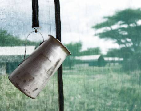 Ndutu Under Canvas tanzania 6 africa tours