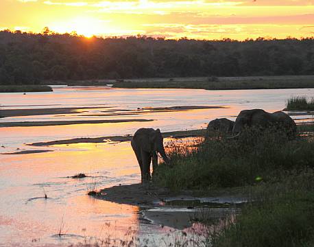 Nyerere vildreservat tanzania africa tours