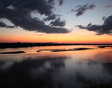 Rufiji River Camp tanzania 14 africa tours