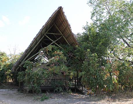 Rufiji River Camp tanzania 12 africa tours