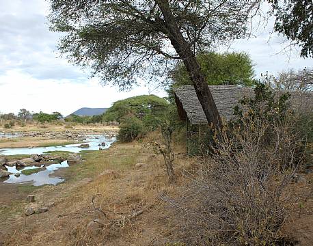 Ruaha River Lodge tanzania 3 africa tours