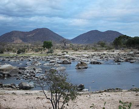 Ruaha River Lodge tanzania 9 africa tours