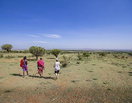  Loita Hills Basecamp kenya 19 africa tours