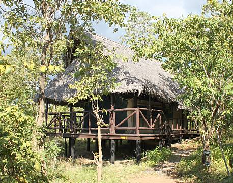 Vuma Hills, Mikumi tanzania 1 africa tours