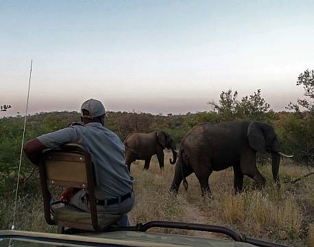 Ku Sungula Balule sydafrika africa tours