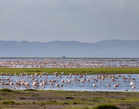 Amboseli kenya africa tours