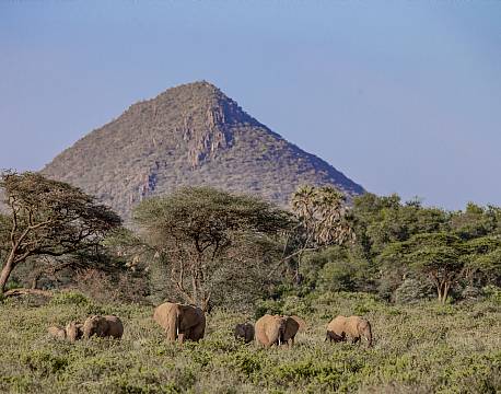 Samburu kenya africa tours