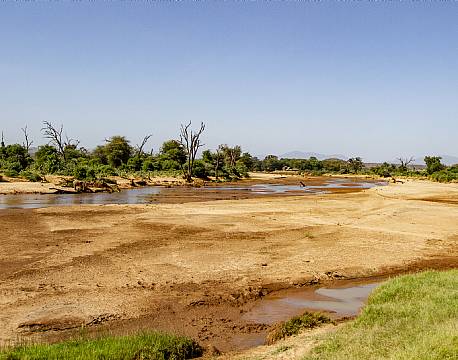 Samburu kenya africa tours
