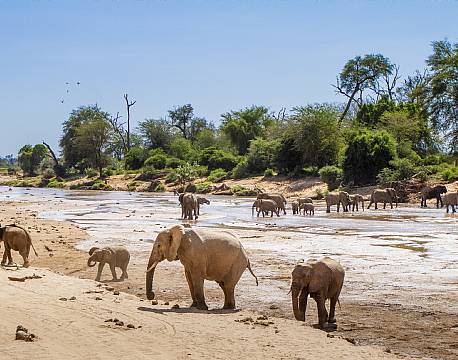 Samburu kenya africa tours