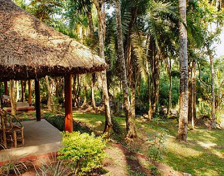 Kibale Forest Camp uganda 1 africa tours