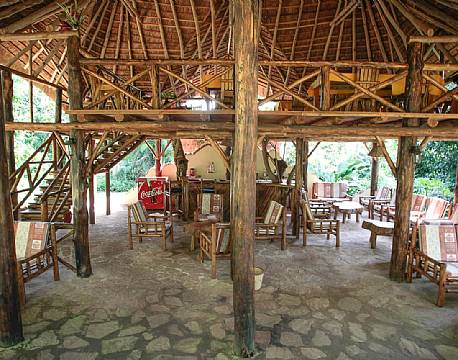 Kibale Forest Camp uganda 4 africa tours