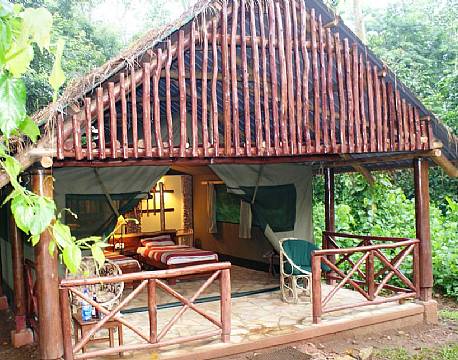 Kibale Forest Camp uganda 3 africa tours