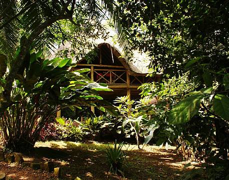 Kibale Forest Camp uganda 5 africa tours