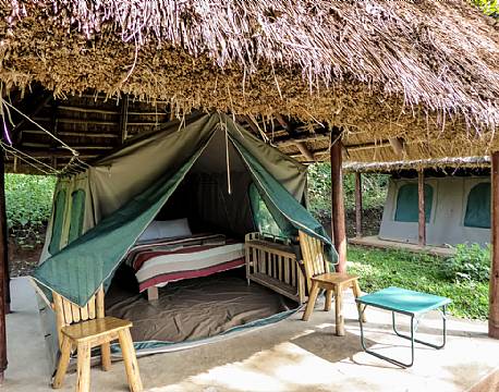Kibale Forest Camp uganda 2 africa tours