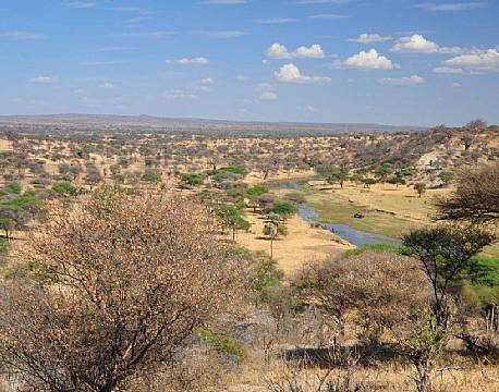 Udsigt fra terrassen på Tarangire Safari Lodge