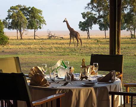Governors Camp kenya 3 africa tours 