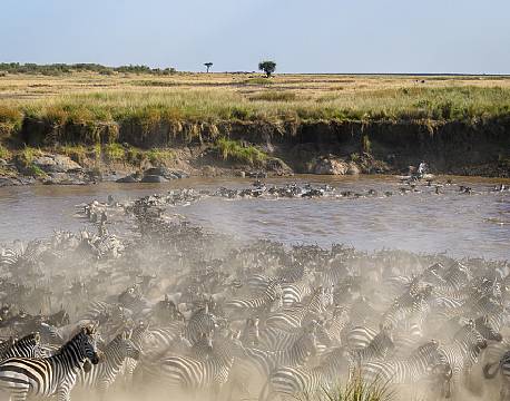 Governors Camp kenya 10 africa tours 