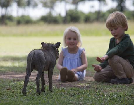 Governors Camp kenya 12 africa tours 