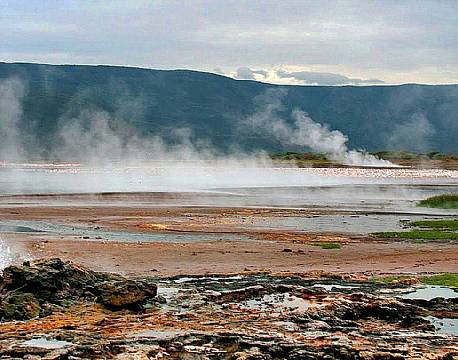 lake bogoria kenya africa tours