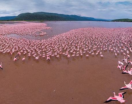 lake bogoria kenya africa tours