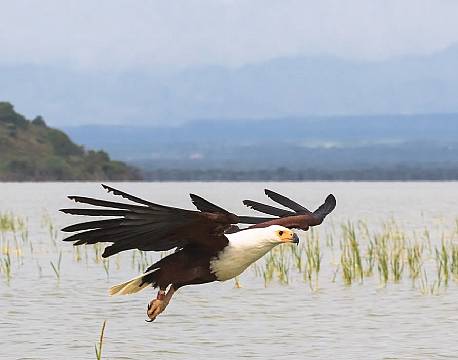 lake baringo kenya africa tours