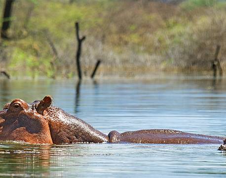 lake baringo kenya africa tours