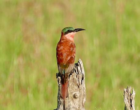lake baringo kenya africa tours