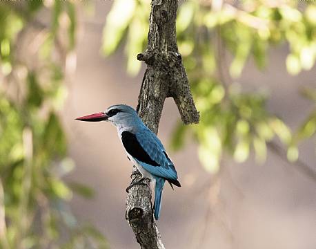 lake baringo kenya africa tours