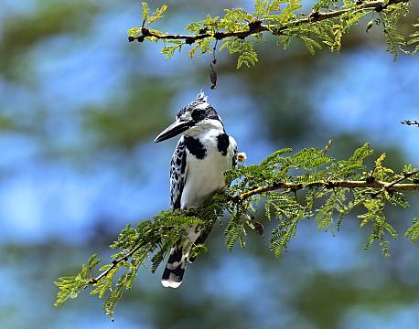 lake baringo kenya africa tours