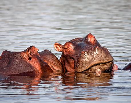 lake baringo kenya africa tours
