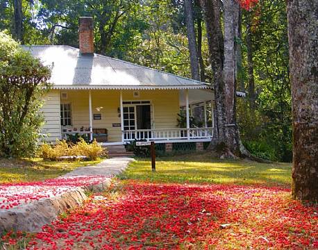 Rondo Retreat Kakamega kenya 1 africa tours