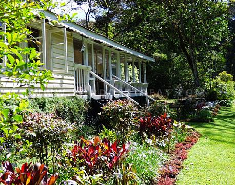 Rondo Retreat Kakamega kenya 10 africa tours