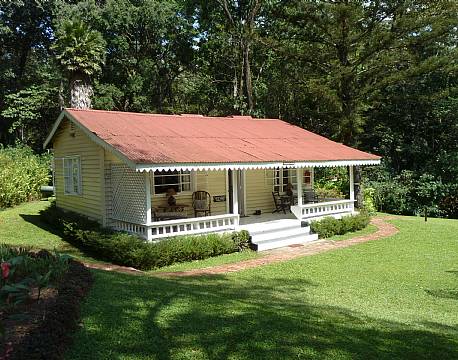 Rondo Retreat Kakamega kenya 11 africa tours