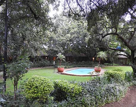 Safari Club johanneburg Sydafrika 7 africa tours