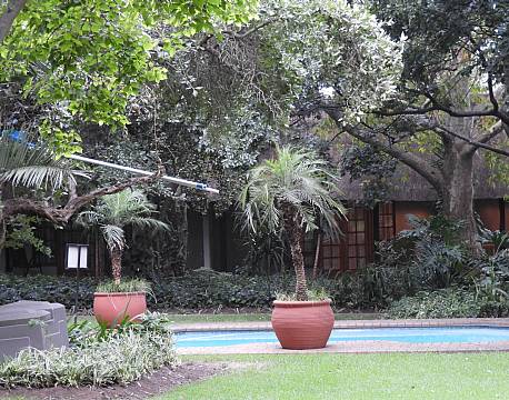 Safari Club johanneburg Sydafrika 8 africa tours