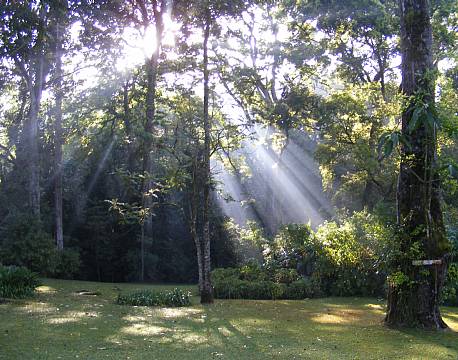 Rondo Retreat Kakamega kenya 12 africa tours