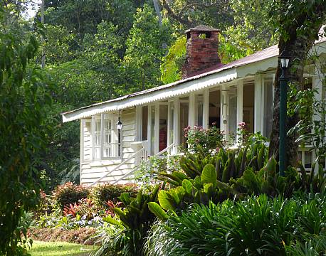 Rondo Retreat Kakamega kenya 7 africa tours