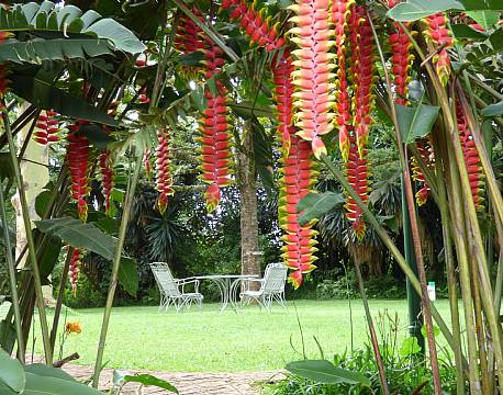 Rondo Retreat Kakamega kenya 14 africa tours