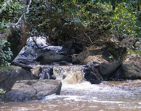 kakamega national reserve kenya africa tours