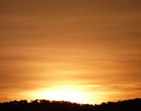 kakamega national reserve kenya africa tours