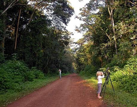kakamega national reserve kenya africa tours