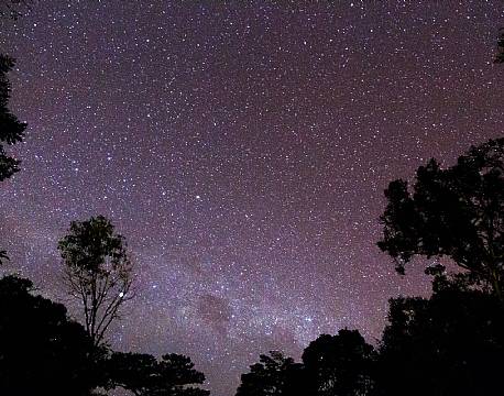 kakamega national reserve kenya africa tours