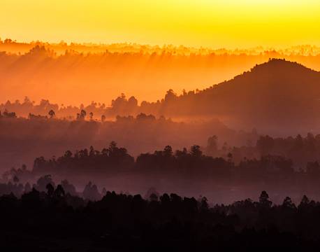kakamega national reserve kenya africa tours