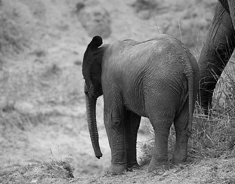 Tusind tak for denne gang