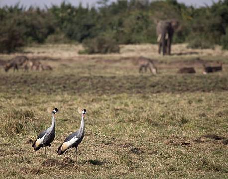 Aktivitet ved trætophotellet The Ark 